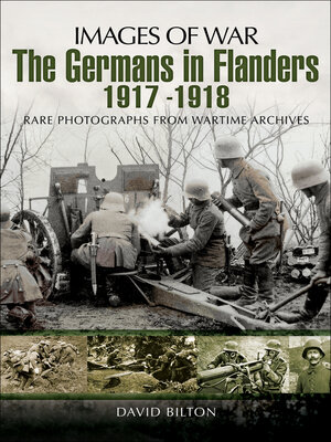 cover image of The Germans in Flanders, 1917–1918